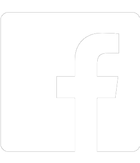 logo icon